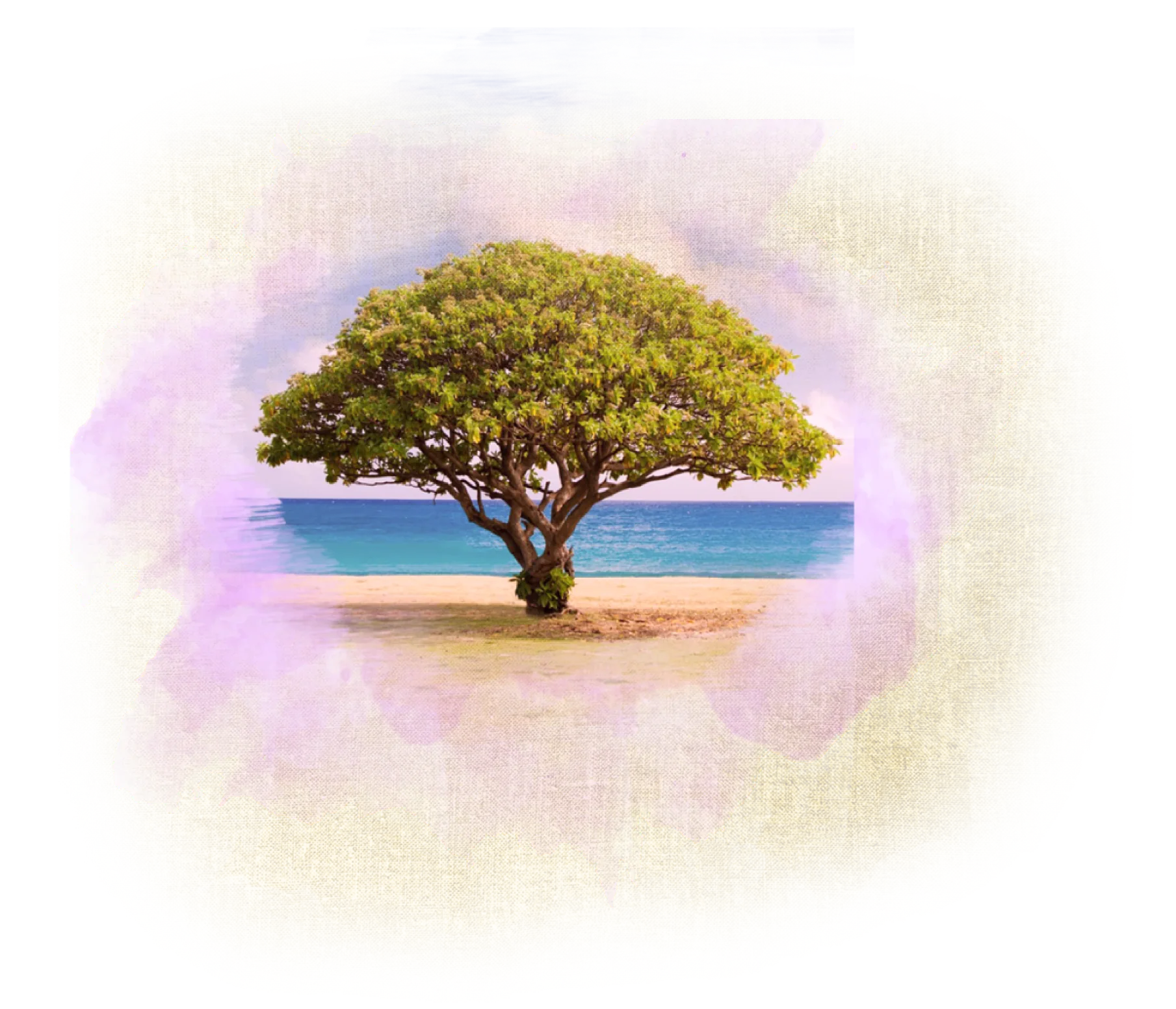 Tree-Image